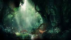 Tiger (rainy blue forest) wallpaper and background image. Digital Art By Martina Stipan Hd Wallpaper Background Image 2560x1440