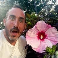 5100+ "Levitt" profiles