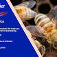 Beekeeping Basics event image