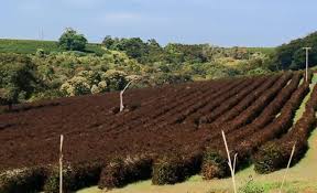 See full list on climatempo.com.br 59qj Vnzsowkdm