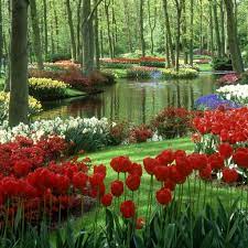 Beautiful Flower Garden Beautiful Flower Garden Wallpapers Design Beautiful Flowers Garden Beautiful Gardens Beautiful Nature Wallpaper
