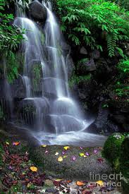 It's best to take photos at dusk or dawn with low angle light. Beautiful Scenery Posters Fine Art America