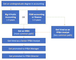 He or she has to manage all the financial matters and. Fp A Career Path And Salary Guide Analyst To Director Wall Street Prep