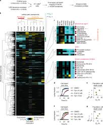 Your lawyer can advise you of your options when it comes to filing for an injury award. A Compendium Of Kinetic Modulatory Profiles Identifies Ferroptosis Regulators Nature Chemical Biology