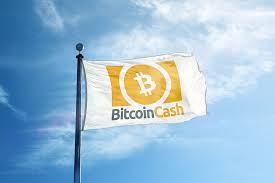 View our miners page to discover the most profitable devices for bitcoin cash mining. A Mysterious Bitcoin Cash Block Took Over 5 Hours To Mine Cryptomode