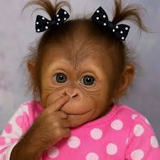 King 👑 of Madi music with another inspirational and educative tune "ASI  ONZI"