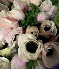 Only fresh and high quality bulk flowers arranged right before delivery. Peach Blush Wholesale Flowers Bulk Diy Wedding Flowers