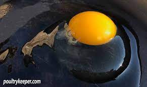 Watery Egg Whites