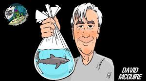 Beneath the Fins: David McGuire