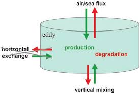 Schematic of the processes controlling trace gas concentration in the...