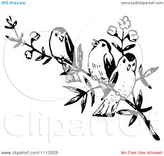 Black And White Clipart Images Of Birds Clipart Three Vintage Black And White Birds On A Branch Royalty White Bird Tattoos Black And White Birds Free Vector Illustration