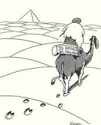 Cartoonist gary larson has returned. 94 Best Cartoons Ideas Bones Funny Far Side Cartoons Far Side Comics
