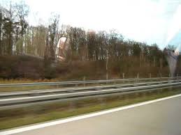 Image result for Berlinia orientalis