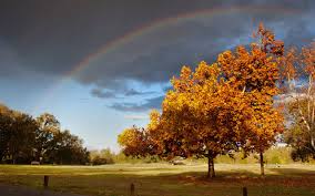 Imagenes Para Fondos De Naturaleza Paisajes Bonitos Para Fondo De Pantalla Gratis Imagenes Bellas Paisajes Fondos De Escritorio