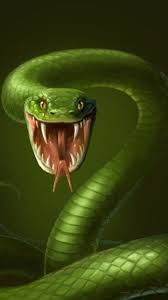 Thanks for the cool post! Snake Iphone Live Wallpaper Download On Phoneky Ios App