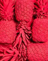 Le Rouge A Rungis L Ananas Ananas Couleur La Vie En Couleur