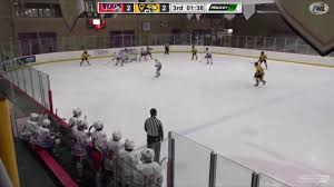 Tyler Samson Highlight Video 2019-20 Hockey Season