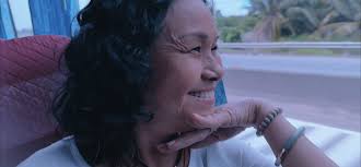 rEncontres dEs cinémAs Du CambodgE, Laos et Vietnam