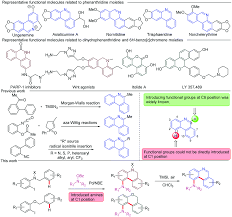 A Carboxylate Assisted Amination Unactivated C Sp2 H Arylation Reaction Via A Palladium Norbornene Cooperative Catalysis Chemical Communications Rsc Publishing