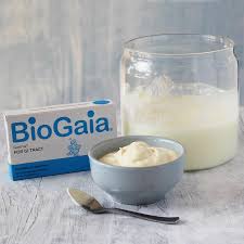 How To Make L Reuteri Yogurt Luvele Us