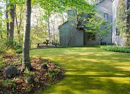 Entry #10 the front yard is made up of drought tolerant / succulent plants. Moss Garden Lawn Simple Green Cool