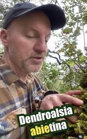 Blair Meyer's Instagram, Twitter & Facebook