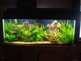 Eden Pure Quartz Portable Heater Aquarium Garden Planted Aquarium Aquascape Aquarium