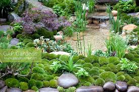 We will commence with the brightest and most mesmerizing examples of traditional zen gardens, and we will explore the key elements which compose such gardens. Moss Mounds And Dec Stock Photo By Jenny Lilly Image 0316874