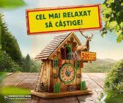 Declaratie de avere si declaratii interese primar si viceprimar. Site De Renume Design Rafinat 100 Calitate SuperioarÄ Ciucas Palarie De Bani Livada Batraneasca Ro