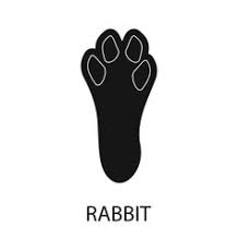 I'm not a rabbit i'm a clown. Rabbit Foot Vector Images Over 610