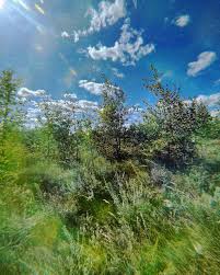 Olga Ray (@olgarayray) • Instagram photos and videos