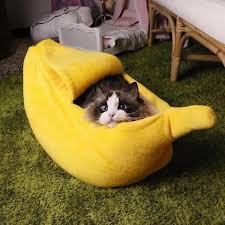 Hot promotions in banana cat bed on aliexpress if you're still in two minds about banana cat bed and are thinking about choosing a similar product, aliexpress is a great place to compare prices and sellers. Cute Cat Banana Bed Cat Bed Pets Pet Bed