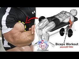 8 Meilleurs Exercices Pour Construire Vos Biceps Youtube In 2020 Biceps Workout Biceps Big Biceps Workout