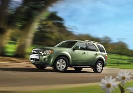 Image result for Gold Leaf 2010 Escape