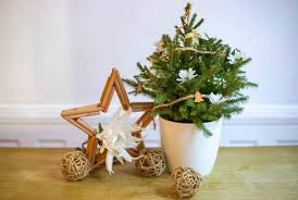 Check spelling or type a new query. Acheter Son Sapin De Noel Sur Internet