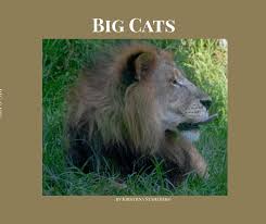 Image result for tbn:XlKqJDikDsTDFM::i132.photobucket.com/albums/q36/queen-elarab/cats/22.jpg