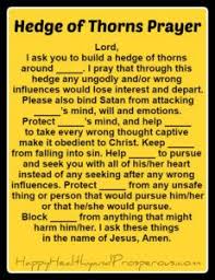 Praying A Hedge Of Thorns Happy Healthy Prosperous Deliverance Prayers Spiritual Warfare Prayers Everyday Prayers