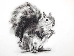 Black And White Squirrel Like Animal Original Squirrel Charcoal Drawing Black And White Squirrel Drawing Squirrel Squirrel Art Squirrel Wall Art Charcoal Squirrel Art Animal Drawings Drawings