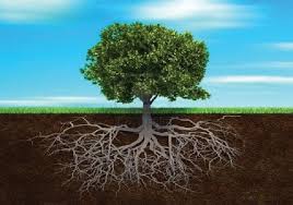 Bila siang hari hati berdebar debar. Mengenal Konsep Akhlak Dalam Islam Riaumandiri Co