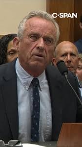 Robert F. Kennedy Jr., who is running for the Democratic presidential  nomination,