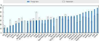 There are some issues where low wage foreign workers are misusing their work permit to start a business which is illegal for them to do in. Oecd Ilibrary Home