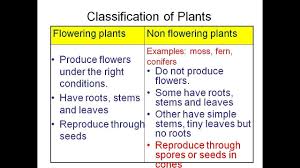Science form 2 chapter 5 (april week 2). Kssm 2018 Science Form 2 Chapter 1 1 2 Part 2 Youtube