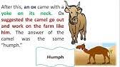 In the beginning of years, when the world was so new and all, and the animals were just beginning to work for man, there was a camel, and he lived in the middle of a howling desert because he did not want to work; How The Camel Got His Hump Usborne Youtube