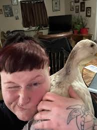 I asked a question to the group a few days ago. Was hoping someone could  tell me if I had drakes or not. I guess I don't care about the answer  anymore.