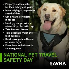 It S National Pet Travel Safety Day An Important Message From The Avma Keeping Pets Safe While Traveling Involves Advance P Travel Safety Pet Travel Pet Safe