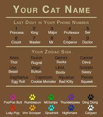 Pin By Ema Smithers On Funny Funny Cat Names Cat Names Funny Cats