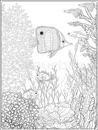 Hours of fun await you by coloring a free drawing nature coral. Adult Coloring Book Coloring Page Stock Vector Colourbox