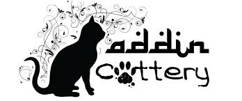 You can double back over lines you've already drawn, but you can't pick up the pen or pencil until. Kucing Ku Kucing Mu Cattery Home Facebook