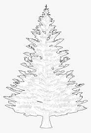 For drawing a deciduous tree see: Transparent Pine Trees Outline Hd Png Download Kindpng