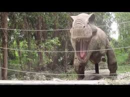 We did not find results for: Parque Safari Rancagua Destimap Destinations On Map